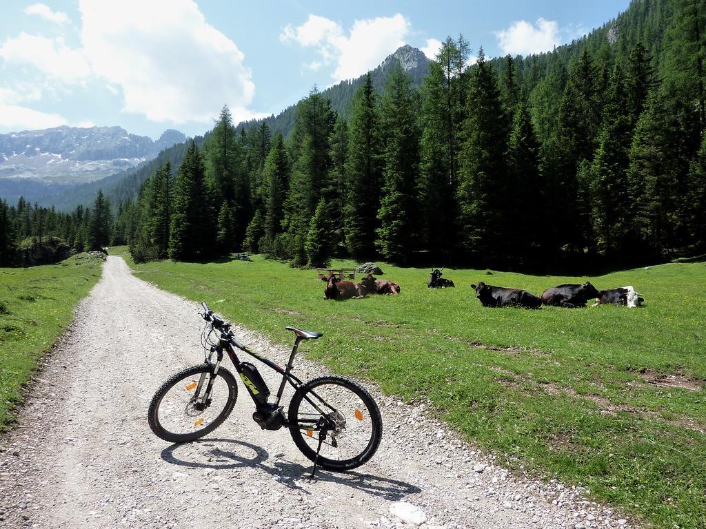 Appartamenti Majon Sotroi Campitello di Fassa Eksteriør bilde